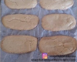 bizcocho lady finger (600 x 450)